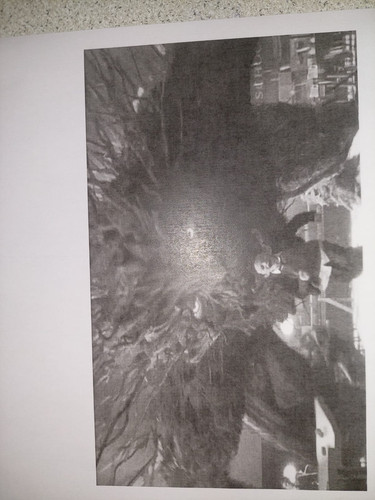 IMG 20250203 WA0017.jpg