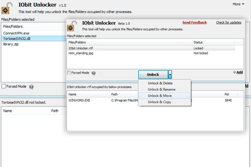 download iobit unlocker interface.png