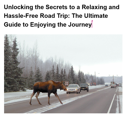 screenshot docs google com 2025 02 03 16 20 00.png