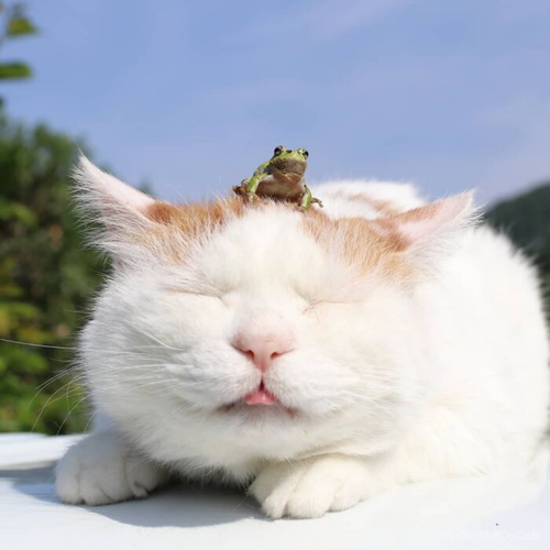 c1eb0a9d 34af 4aa8 b3d3 385618279a52.png