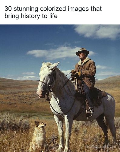 e33bb29e 8dd2 4535 bebe 11285b5e1f17.png