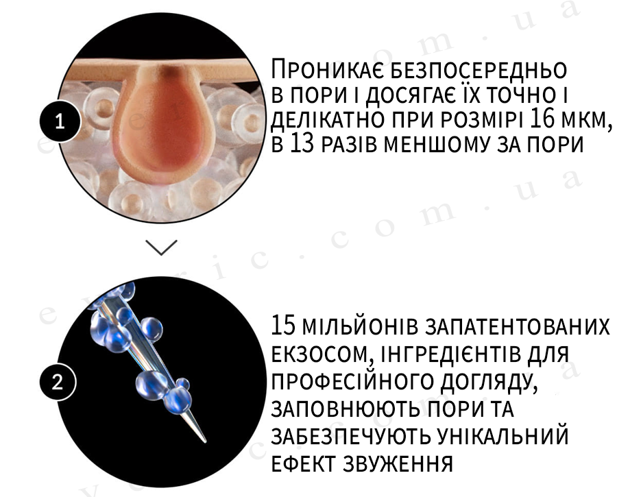5 копия
