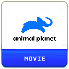 an.png