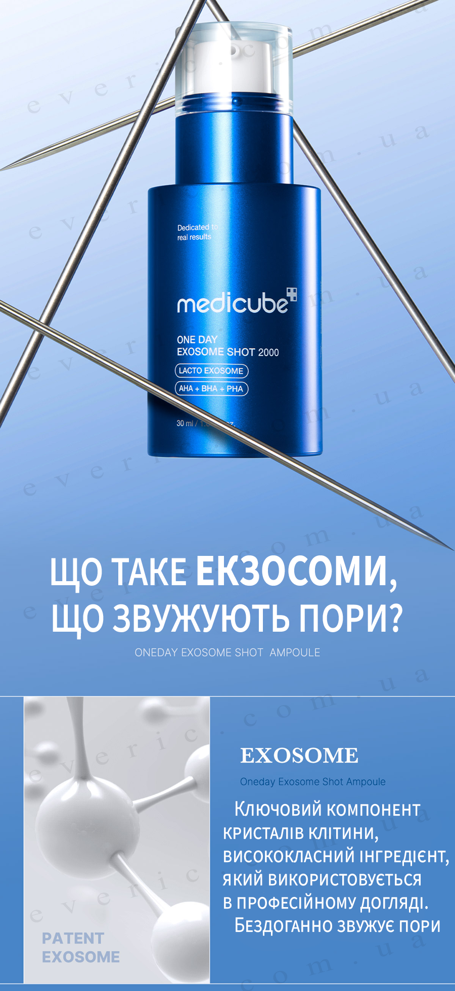 2 копия