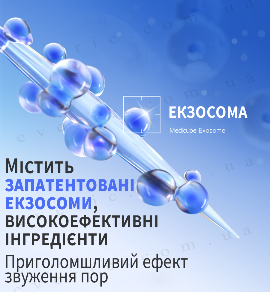 22 копия
