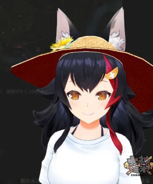 firefox 3JMO1fnbPA.png