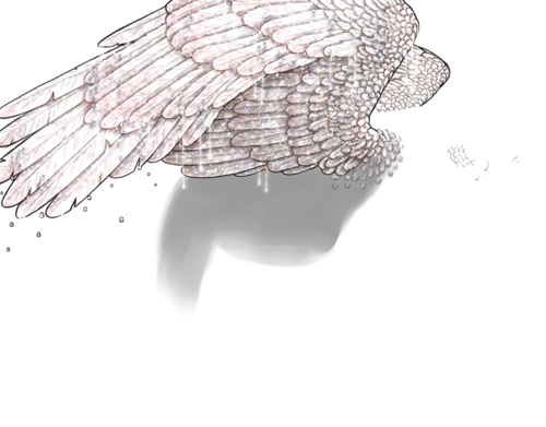 achromis neutral.png