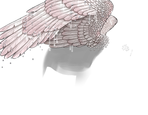 achromis snarky 2.png