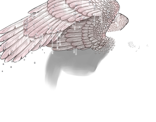 achromis neutral 2.png