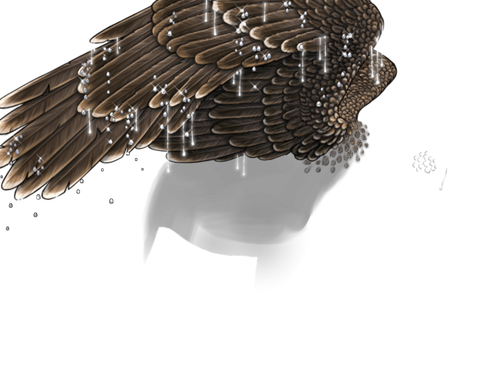 sparrow snarky 2.png