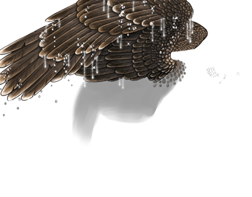 sparrow neutral 2.png