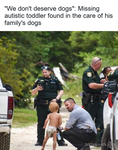49142c05 90cb 4601 af91 6c1cf875e41a.png