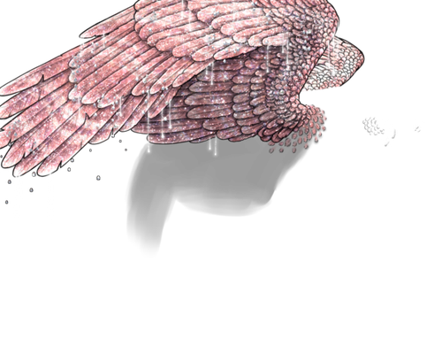 serruria neutral.png