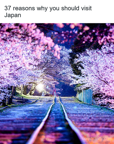 9cd23cae 4f31 4a10 9cb4 045d1a63e932.png