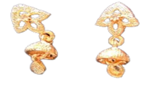 WhatsApp Image 2025 02 04 at 12.03.35 PM removebg preview (2).png