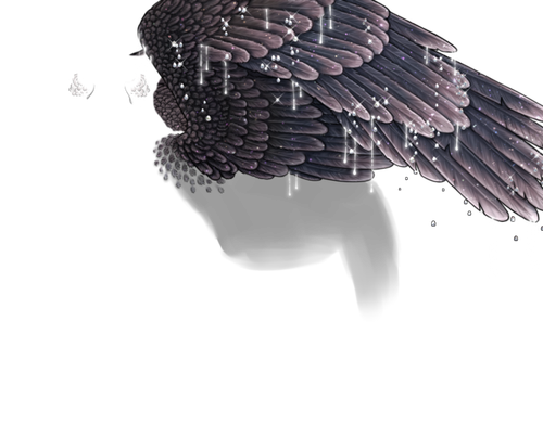 constellation kind 2.png