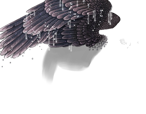 constellation neutral 2.png