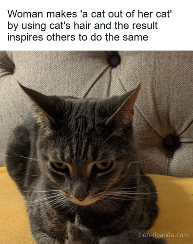 fa64d967 d2e6 4625 9cc1 3965f1cc4863.png