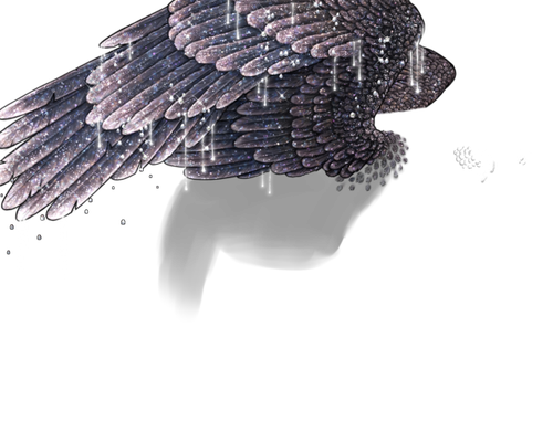 constellation neutral.png