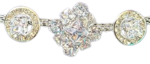 WhatsApp Image 2025 02 04 at 12.19.01 PM removebg preview Copy removebg preview.png