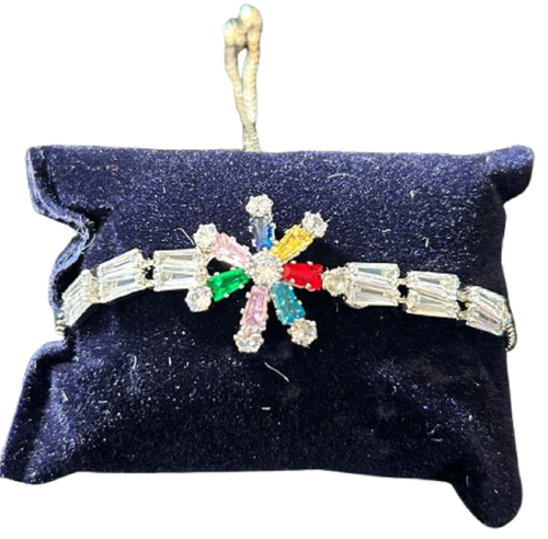 WhatsApp Image 2025 02 04 at 12.18.59 PM 1 removebg preview.png