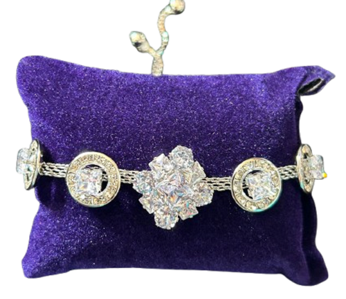 WhatsApp Image 2025 02 04 at 12.19.01 PM removebg preview.png