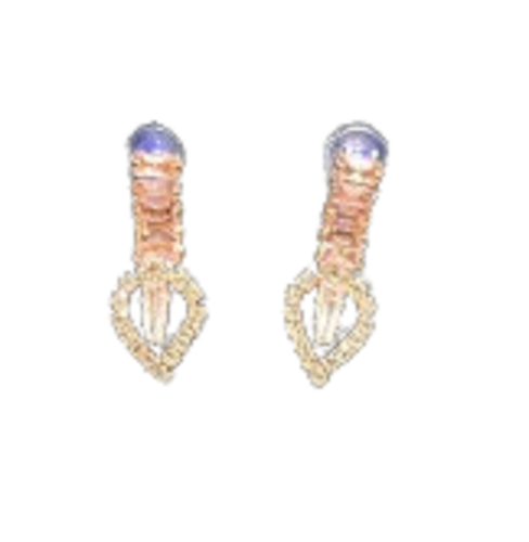 WhatsApp Image 2025 02 04 at 11.44.46 AM removebg preview (1).png