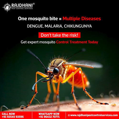 Mosquito and Flies Treatment at Best Price | Rajdhani Pest Control.jpg