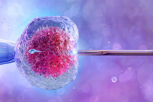 IVF.jpg