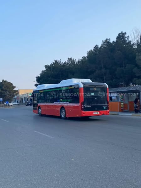 475810479 656184816764828 1231957554246156740 n.jpg?stp=dst jpg s600x600 tt6& nc cat=1&ccb=1 7& nc s.jpg