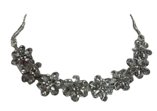 WhatsApp Image 2025 02 04 at 10.59.47 AM removebg preview.png