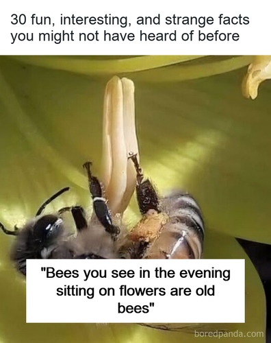 cbb8e0c7 c26f 42ee 96ae 5b5ea964f835.png