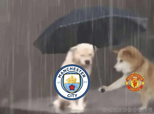 64F979A6 F5DB 4485 A2F7 33825F6B362A.jpg