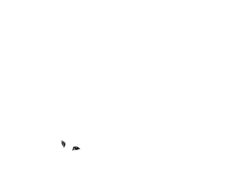 Untitled627 20250203133056.png