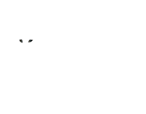 Untitled627 20250203133050.png