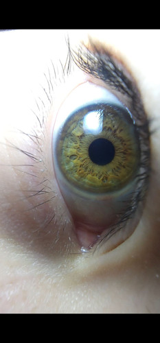 0d3270feeb90.jpg