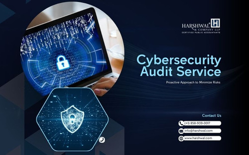 Cybersecurity Audit Service Minimize risks HCLLP.jpg