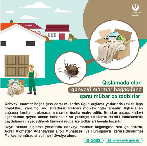 476221724 1019690766858441 444013554795680195 n.jpg?stp=dst jpg p526x296 tt6& nc cat=109&ccb=1 7& nc.jpg