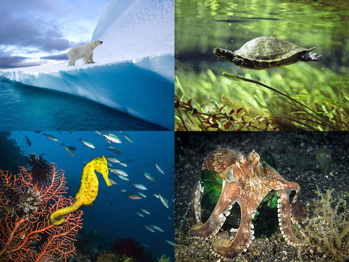 ' Glorified is The  All-Mighty Creator '.jpg