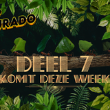 Deel 7