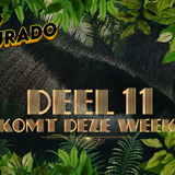 Deel 11