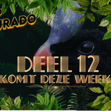 Deel 12