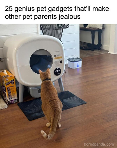 best pet gadgets.jpg