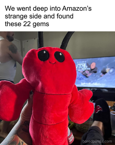 most bizarre amazon finds that we need.jpg