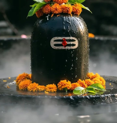 IMG 20250204 171105.jpg