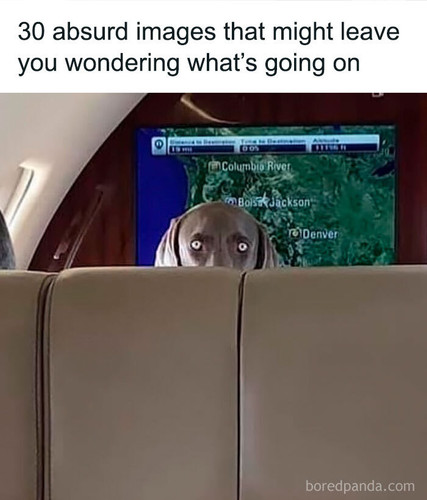 1 (2).jpg
