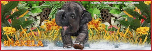 ShakelaPT2021LagunaAfricanRain vi.gif
