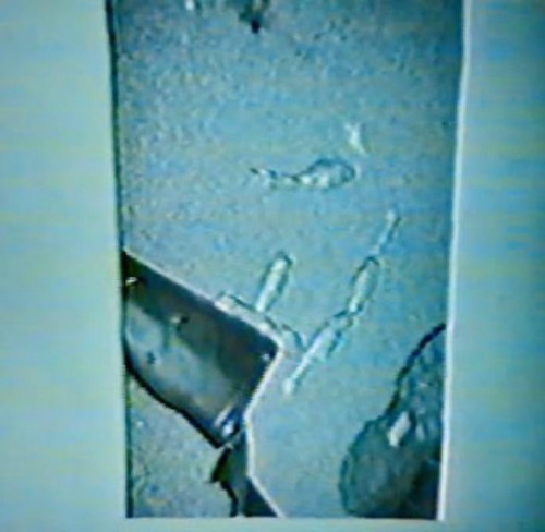 3gz0dvb5bw571.jpg