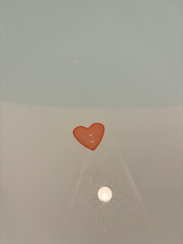 IMG 4884.jpg