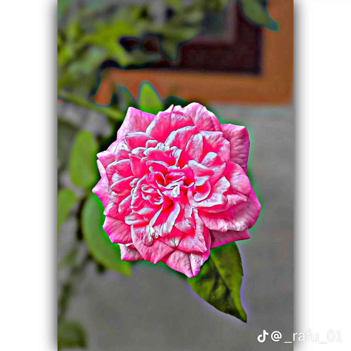 f94c4fb29b12.jpg